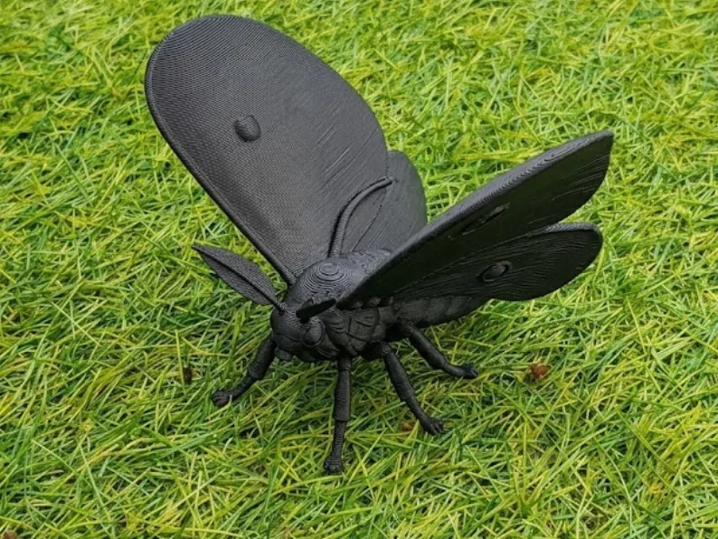 Coscinocera hercules – Hercules Moth 3D Printable Model