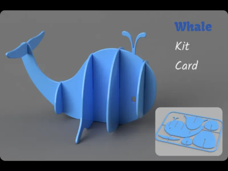 Kit card baleia