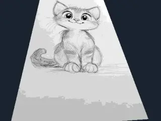 Cute black and white kitty draw