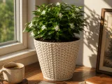 FLOWER POT-0
