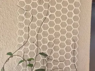 WAS_PLANT_SUPPORT_4