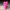 Rose Bear – Ursinho de Pelúcia de Rosas Impresso em 3D