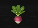 radish-0
