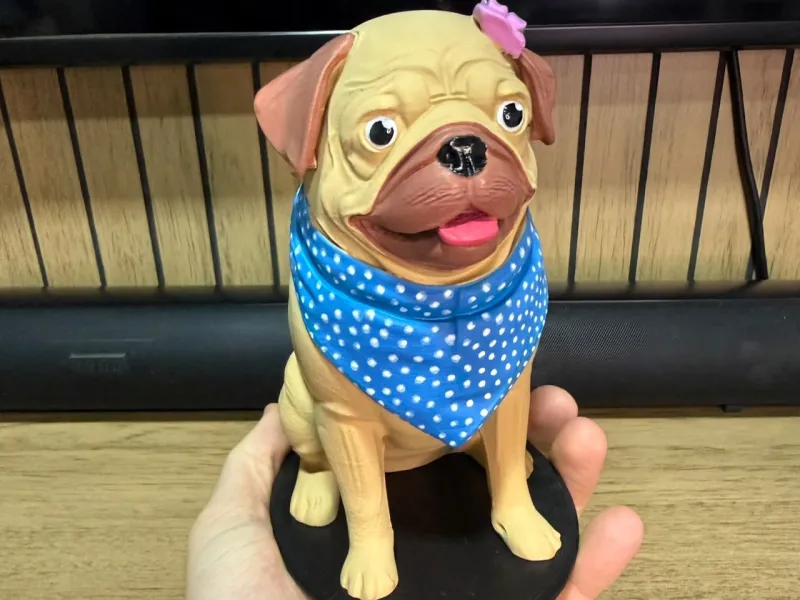 Little Dog Pug