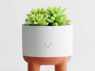 Plant Pot "Melo" – A Happy Home for Your Plants