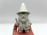 Potter Styled Garden Gnome-0