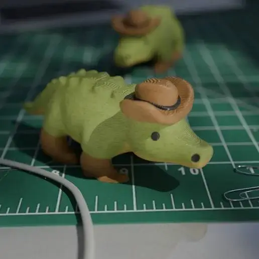 Gator wearing cowboy hat