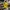 Figurine articulée Pikachu en plusieurs parties - 3MF texturé