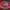 fridget magnet UEFA