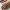Chromatic Woven Sphere – Noah0x03