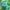 bulbasaur-pokemon