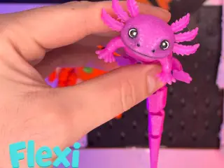 Flexi Axolotl | One-Piece Articulated Axolotl Cute
