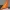 EasyJet Tail Wing 23CM BIG PRINT