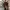 Firefly TV-Serie - Cap Mal Reynolds
