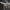 flyskeleton01