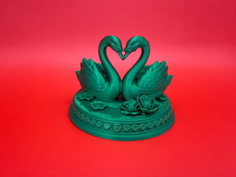 Swan heart