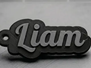 Liam Keychan Multicolor