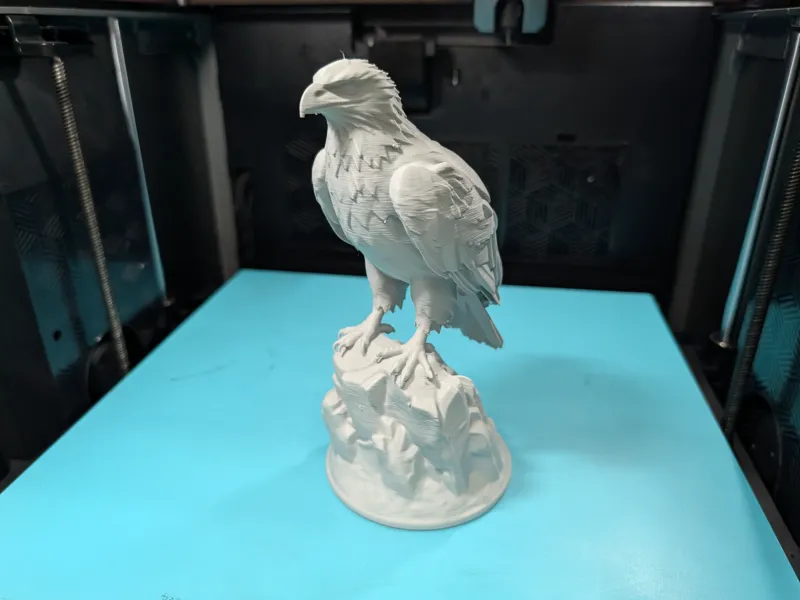 # Aquila di mare su una roccia – Modello dettagliato da dipingere V2