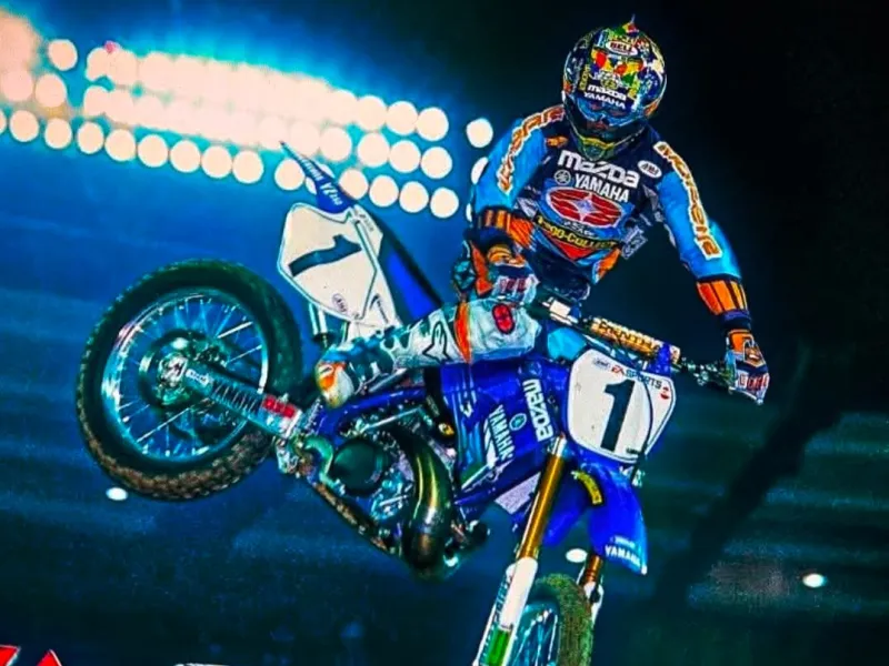 Jeremy Mcgrath re del supercross hue forge