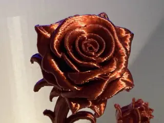 Gothic Rose