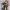 Clash of Clans COC The Master Builder
