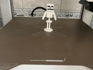 Minecraft skeleton begginer with support