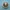 Jedi Order logo clicker