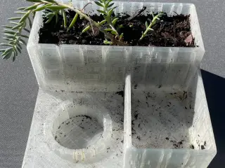 Succulent Planter