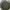 doom dark ages shield saw NON ORIGINAL