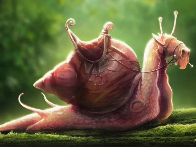Racing Snail