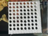 Snail Egg Shelf Holder-0