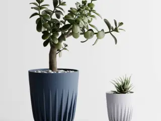 Plant Pot Aurea