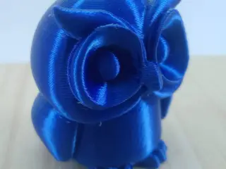 Owl Cute