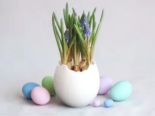 Cracked Eggshell Planter / Bowl