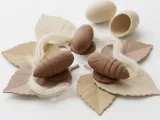 Silkworm Pupa-0