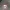 Monster High Logo coaster