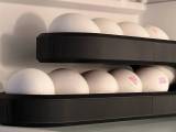 DISPENSAADOR DE HUEVOS SOLIDO-0