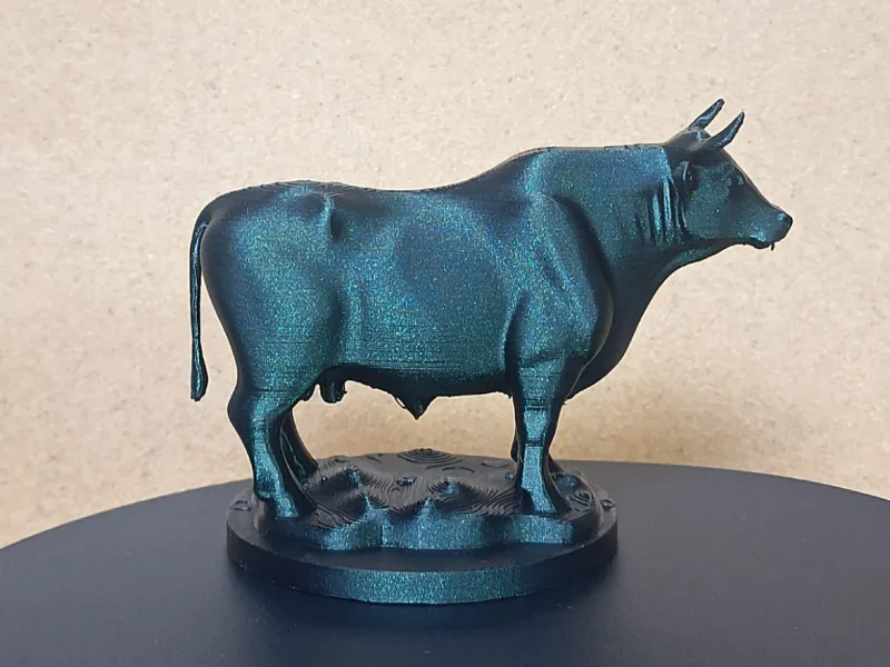 Carne Bovina / Rind