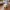 Dado de juego de seis caras facetado: Cubo biselado