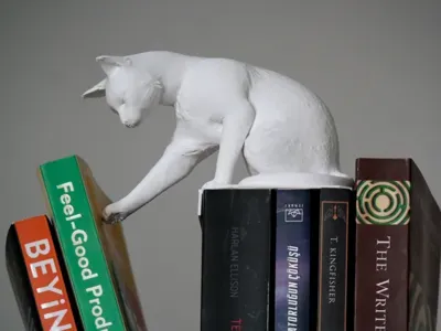 Cat Pushing Book(s) Nook - With Hidden Book Holder