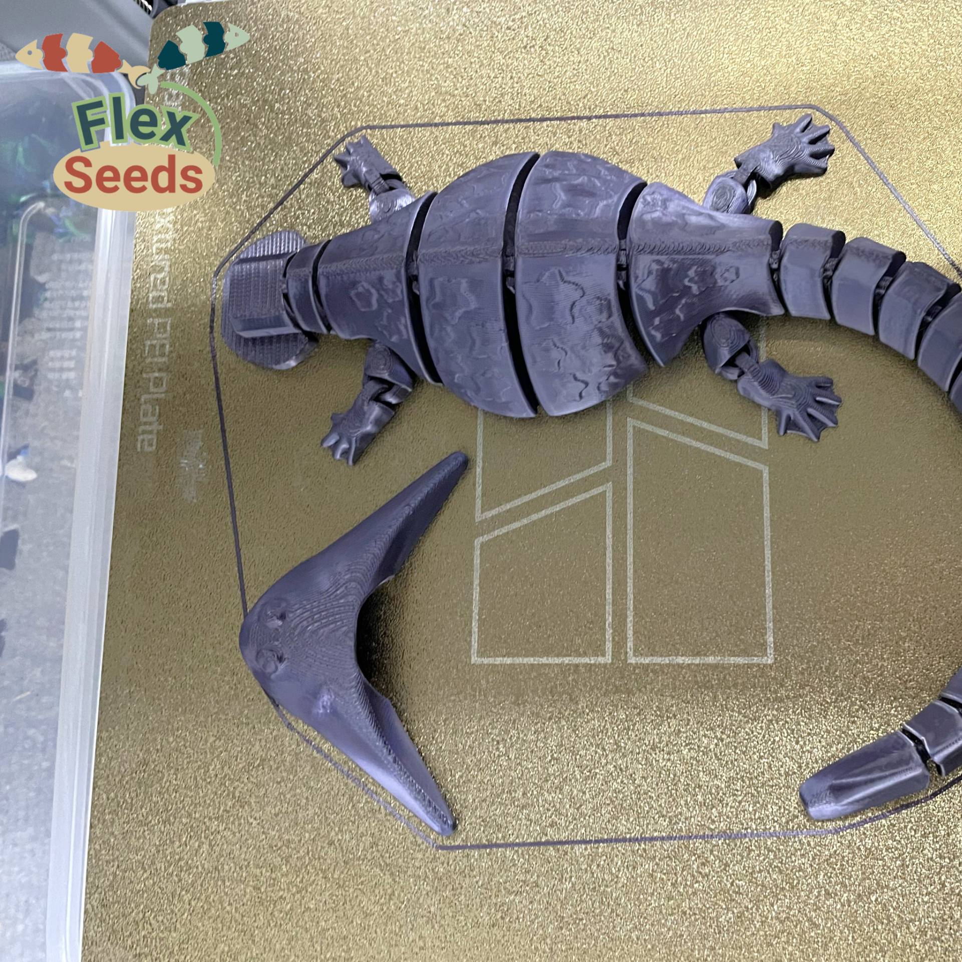 Home print settings: Diplocaulus-Set_1Color_Creality v1.3mf