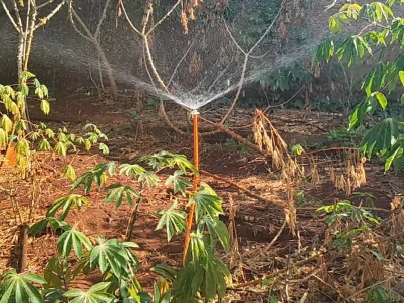 Aspersor Ajustável para Jardim e Horta – Alcance de até 4 Me