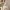 Nuestra Señora de la Agonía — Estatua para Impresión 3D