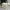 Pantera
