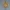 太阳纹章墙面雕塑