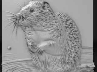 beaver