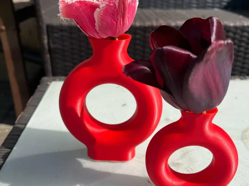 Un vaso, un vaso da fiori dal look futuristico
