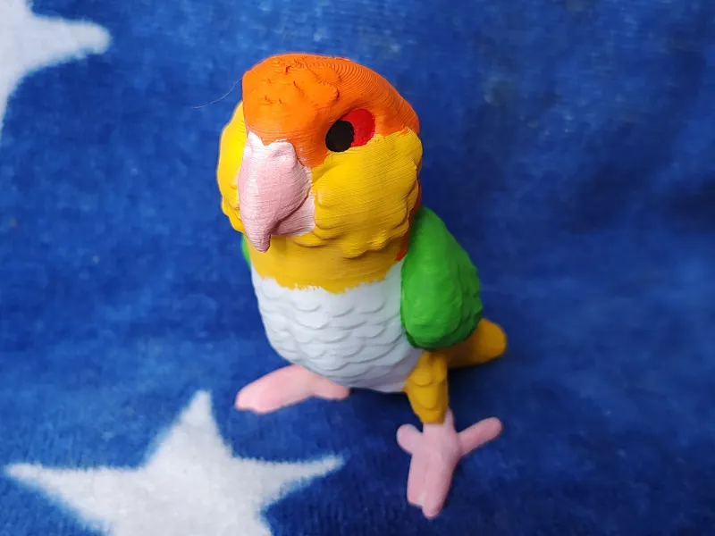 Caique