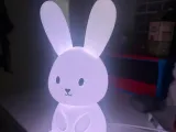 CONIGLIO (BUNNY)-0
