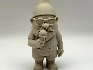 Cool Gnome Summer